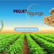 Ngunga agriculture